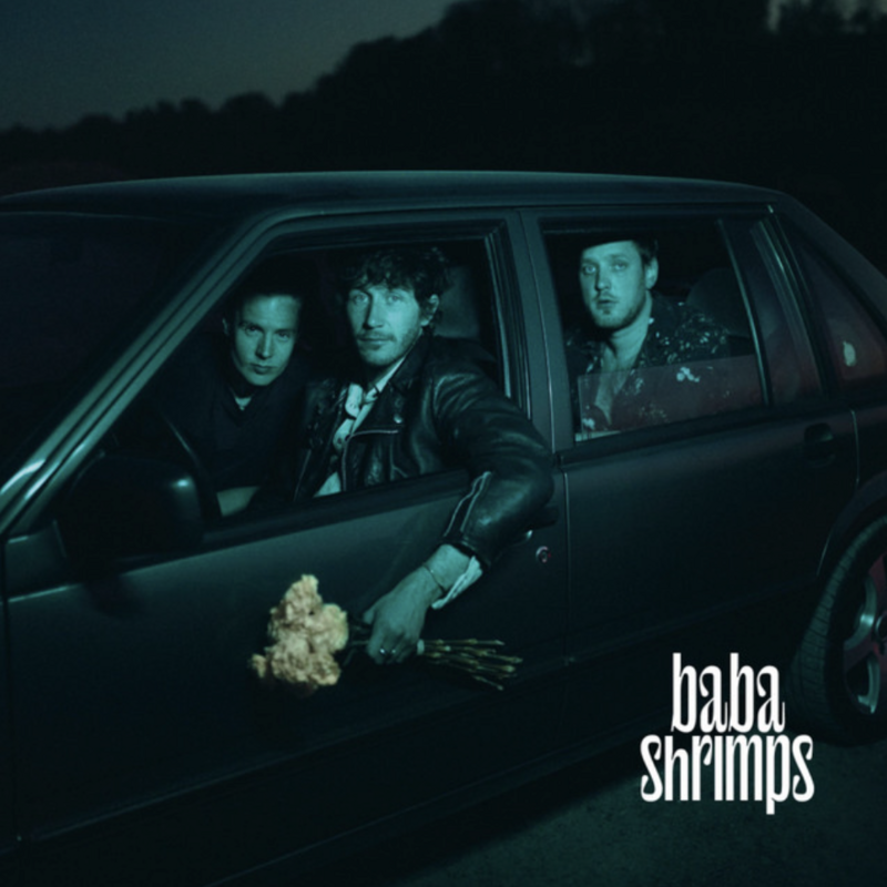 Baba Shrimps - III (Mixing) - Charts (Schweiz) #3